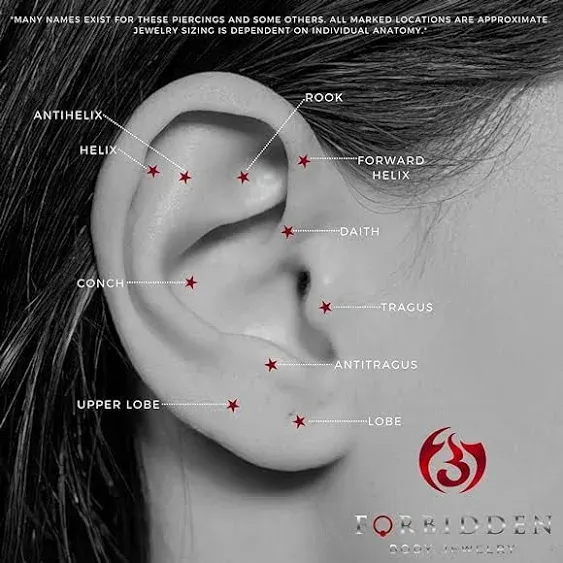 Forbidden Body Jewelry Surgical Steel Earrings Internally Threaded Micro CZ Gem Top Tragus/Helix/Labret Stud with 2mm Top 18G (4mm-10mm)