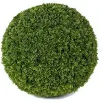 15" Large Cypress Topiary Ball