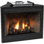 Empire Direct Vent Fireplace