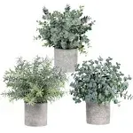 Winlyn Set of 3 Mini Potted Artificial Eucalyptus Plants Plastic Fake Green Rosemary Plant for Home Decor Office Desk Shower Room Decoration