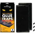 Kingman Prime Rat Mouse Rodent Pest Glue Trap (Large Size) Tray Heavy Duty (24 Traps) with Connectors