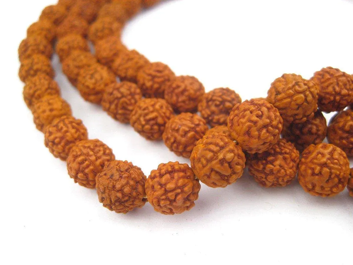 Storite Rudraksha Rudraksh Japa Mala Rosary 108 + 1 Prayer Beads 8mm