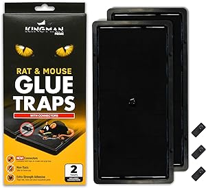 Mouse and Rat Glue Trap/Board (Large Size) (2 Pack / 4 Traps) Rodent Trap Safe Easy Non-Toxic