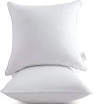 Leeden 20 x 20 Pillow Inserts (Set of 2) - Throw Pillow Inserts with 100% Cotton Cover - 20 Inch Square Interior Sofa Pillow Inserts - Decorative Pillow Insert Pair - White Couch Pillow