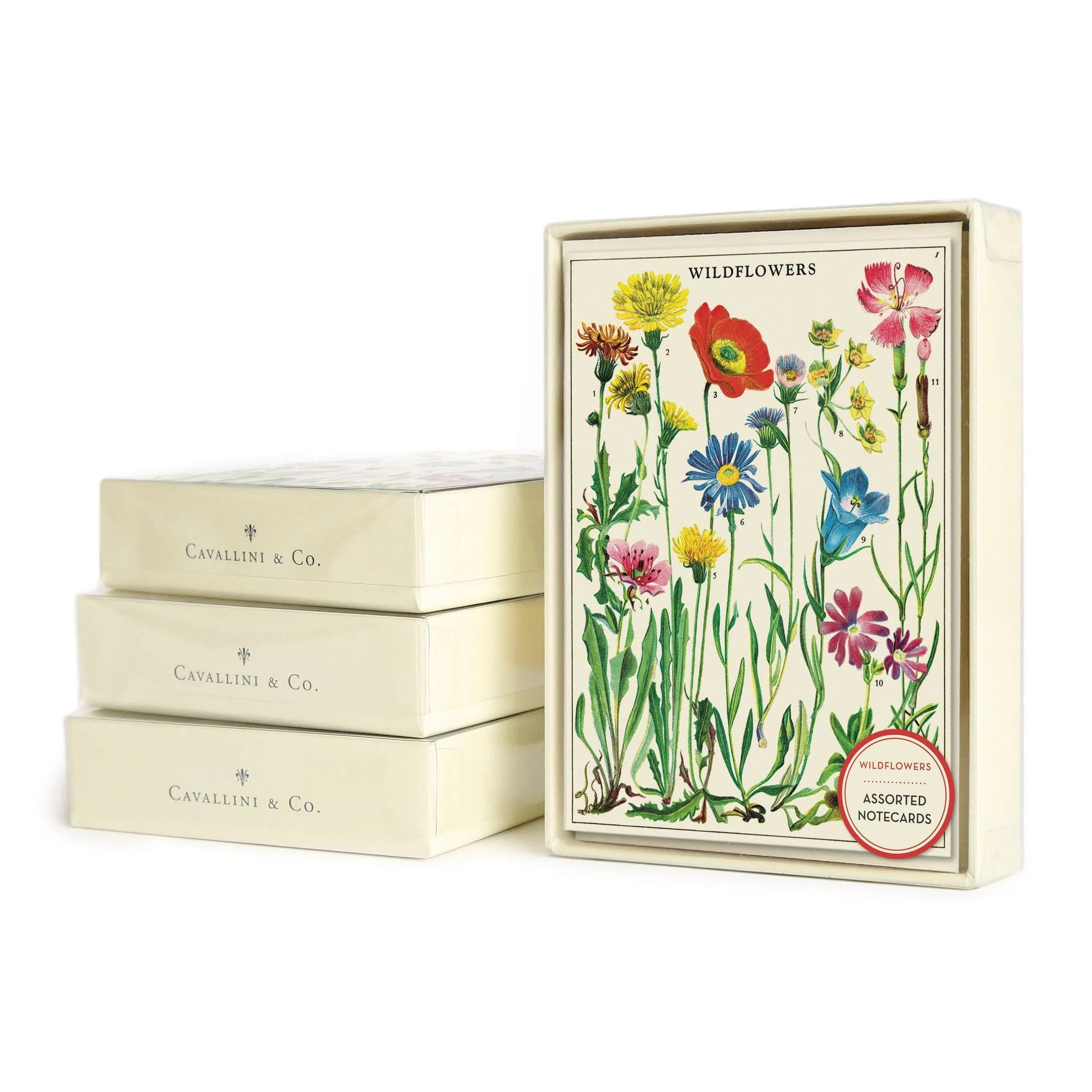 Cavallini & Co. Wildflowers Boxed Note Cards, Assorted