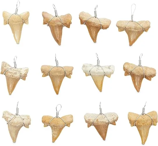 12 Pack Shark Teeth Necklace Pendants for DIY Crafts (0.8 x 1 In)