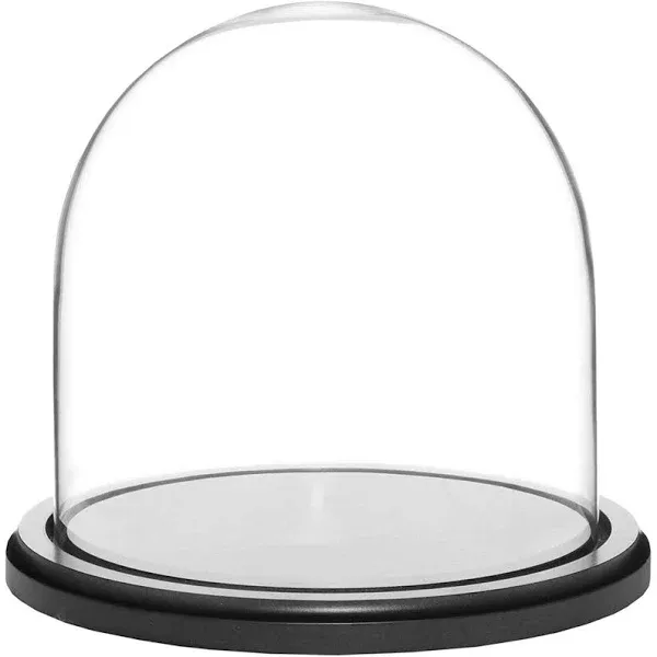 Plymor 8 inch x 8 inch Glass Display Dome Cloche (Black Wood Base)