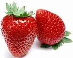 Eversweet Everbearing Strawberry 10 Bare Root Plants - Super Sweet