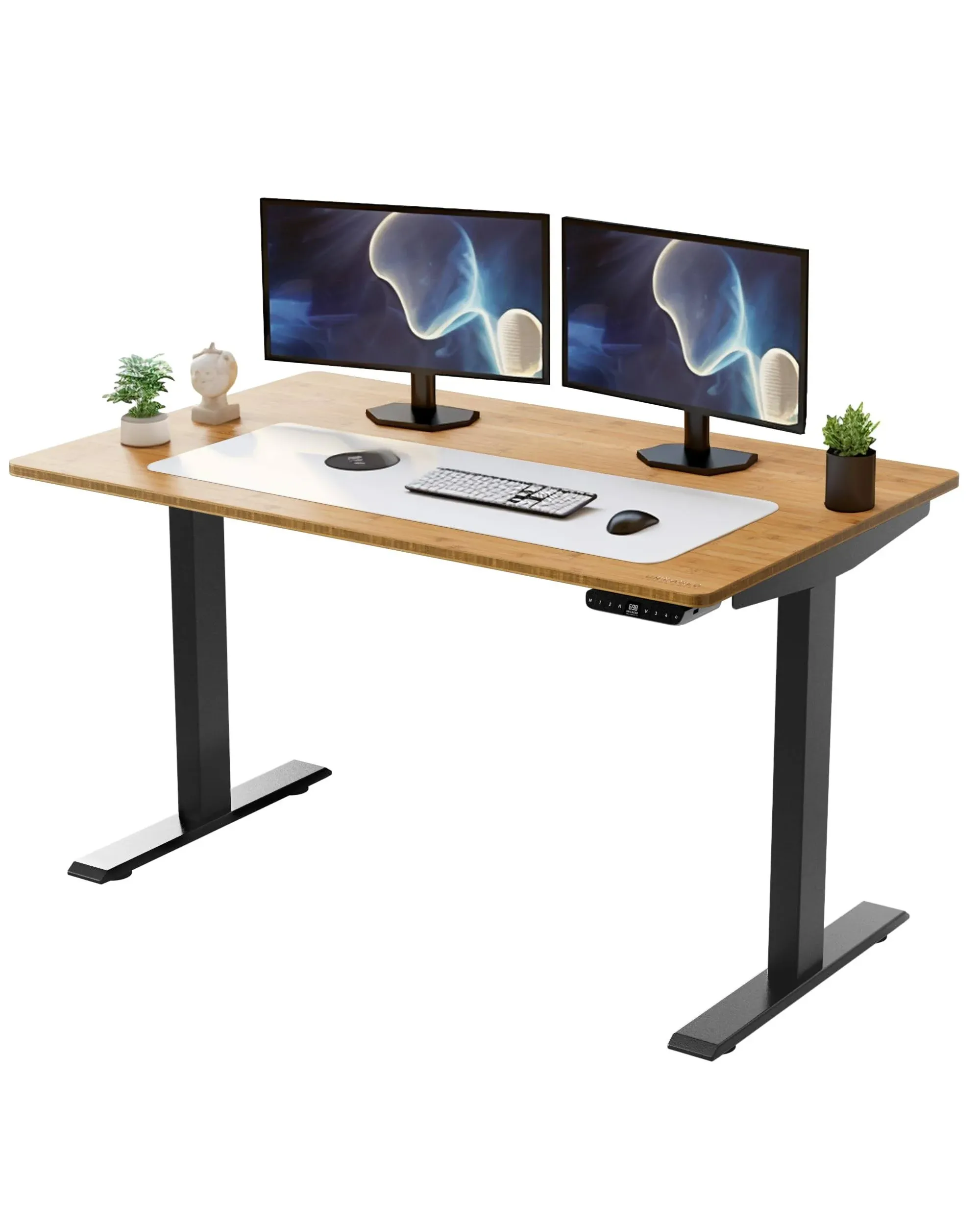 Rise UP Electric Standing Desk Adjustable Height Desk 24-49" Dual Motor One Piece 60x30 Bamboo Standing Desk, Adjustable Large Standing Desk, Stand Up Desk Sit to Stand Desk, Raising Desk Home Office