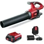 Toro 51821 110 mph 565 CFM 60 V Battery Handheld Leaf Blower Kit (Battery & Charger)