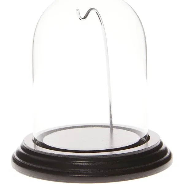 Plymor 3" x 4" Watch Glass Display Dome Cloche (Black Wood Veneer Base & Silver Wire)