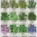 Seed Needs, Culinary Herb Seed Packet Collection (12 Individual Varieties of Herb Seeds for Planting Indoors or Outdoors) Heirloom, Non GMO, Untreated