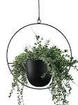 ABETREE Hanging Planter for Indoor Plants Metal Mid Century Minimalist Wall and Ceiling Hanging Plant Pot Holder for Home Décor