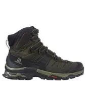 Men's Salomon Quest 4D GORE-TEX Hiking Boots