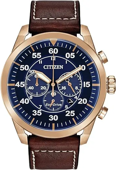 Citizen Eco-Drive Avion Watch CA4213-18L