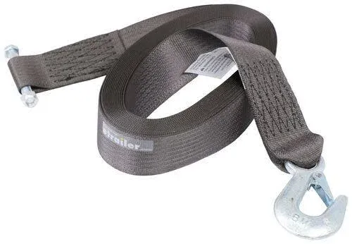 Dutton-Lainson 24248 6250 Winch Strap/ Hook