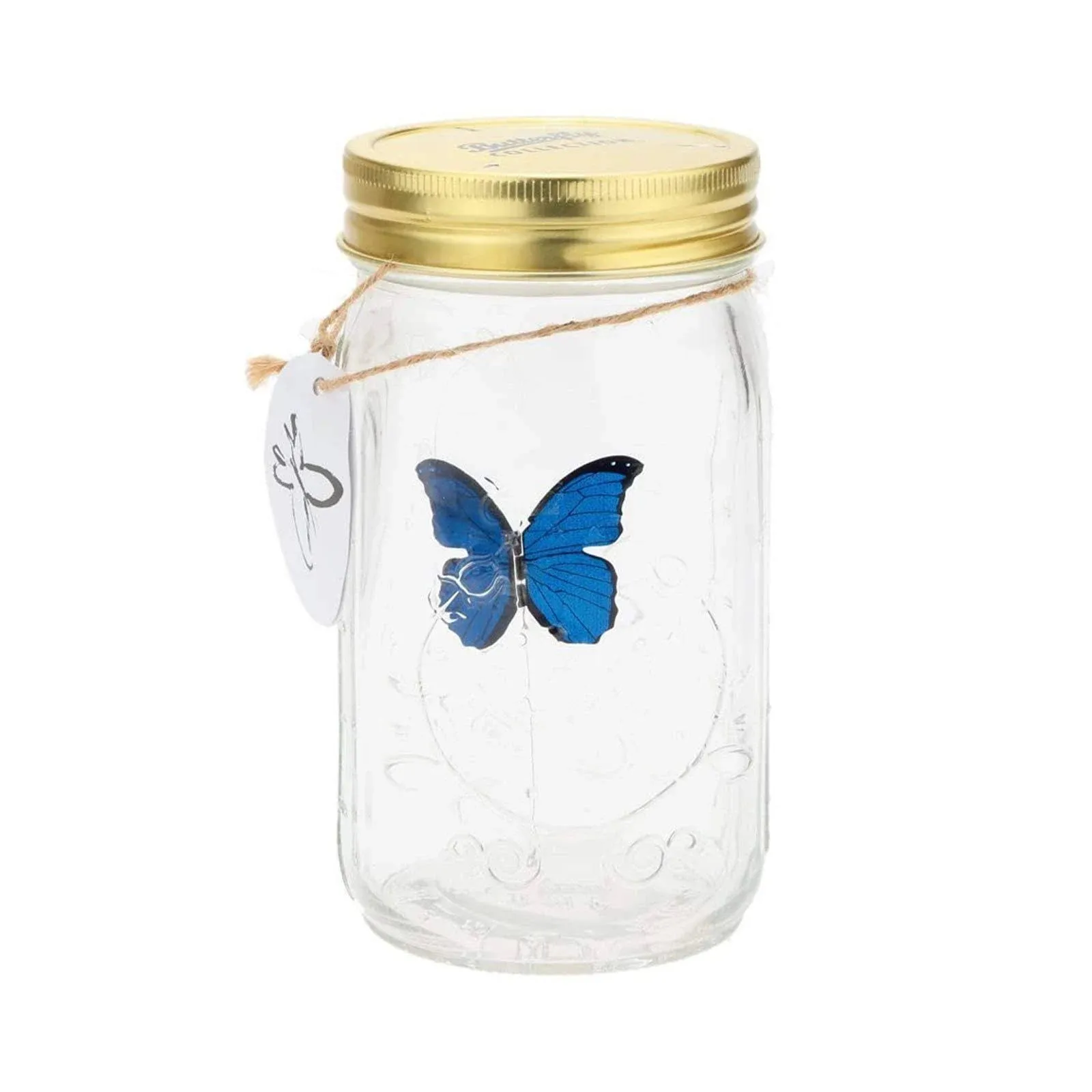 Butterfly in A Jar, Airlxf Glass Animated Butterfly in A Jar with LED Light Gift ...