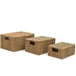 Set of 3 Rectangular Seagrass Baskets with Lids by Trademark Innovations