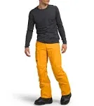 The North Face Men's Freedom Pant