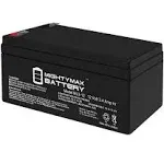 Mighty Max Battery 12V