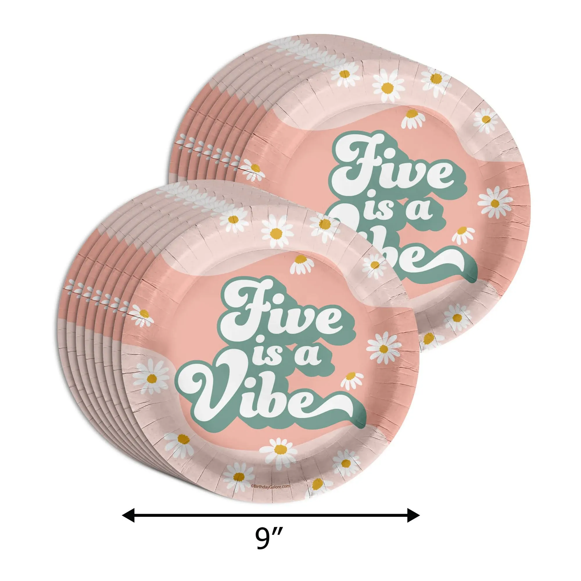 Five Is A Vibe Groovy Birthday Party Supplies 5th Birthday Party Plates - Large 9 ...