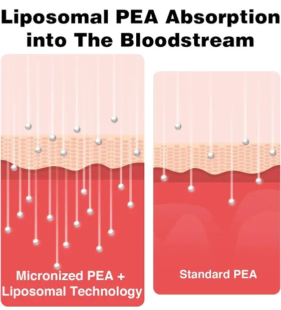 Liposomal Palmitoylethanolamide 1000 mg + Luteolin 100 mg, Micronized Pea 99% Highly Purified