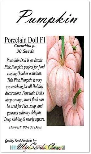 Big Pack - (30) Porcelain Doll F1 Pink Pumpkin Seeds - Rare Exotic for Fund Raising - Non-GMO Seeds by MySeeds.Co (Big Pack - Porcelain Pink Pumpkin)