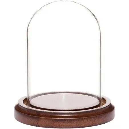 Plymor Brand 3" x 4" Glass Display Dome Cloche (Walnut Base)