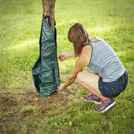 Greenscapes Tree &amp; Watering Bag 1 pk