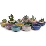 T4U 2.5 Inch Small Ceramic Succulent Planter Pot with Drainage Hole Set of 12, Ice Crack Glaze Plant Container for Cactus, Plant Lover Gifts for Women Mom Aunt Home Office Decor