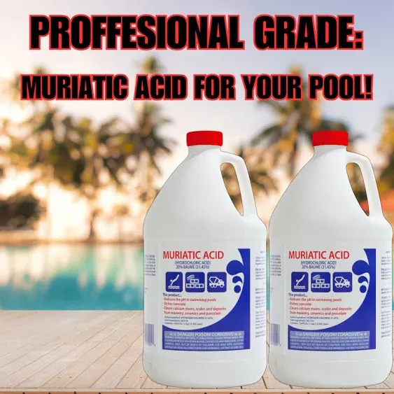 Buckman's Muriatic Acid for Swimming Pools & Spas (4-Pack) - Lower's pH/pH Reducer for Pool Water Balancing - 4 Gallon