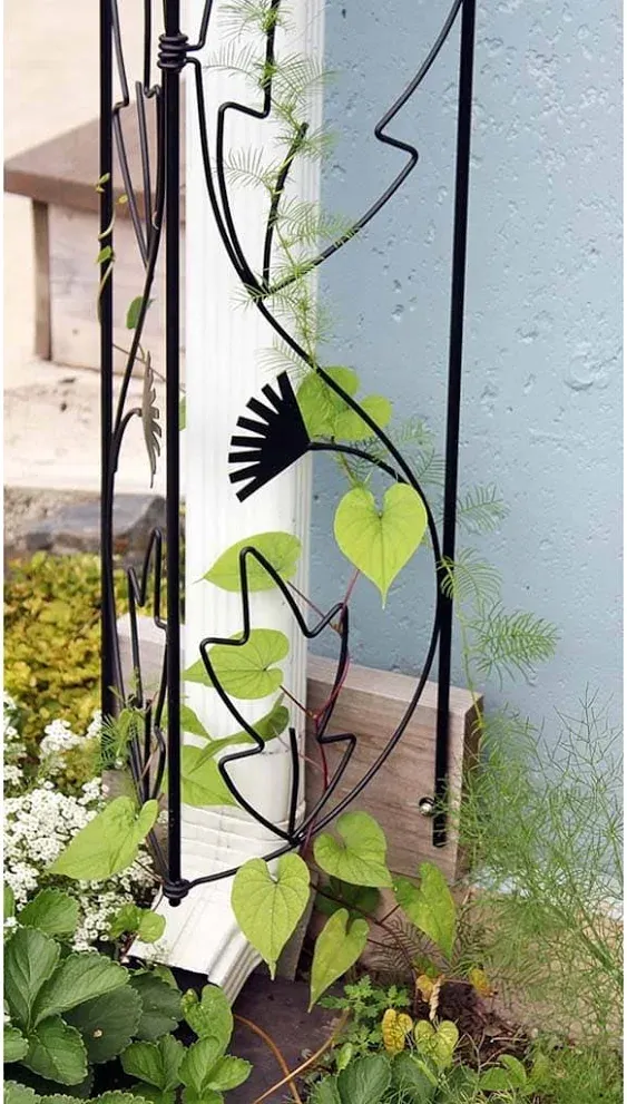 Achla Designs FT-47 Wrought Iron downspout Gutter Post Trellis, Black