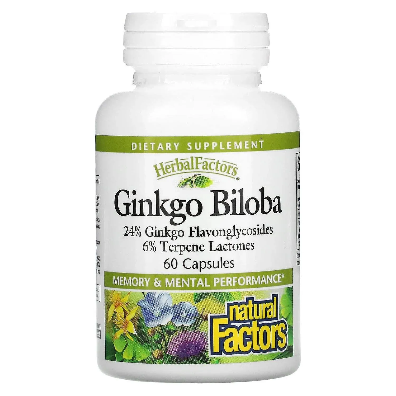 Natural Factors Ginkgo Biloba 60 Capsules