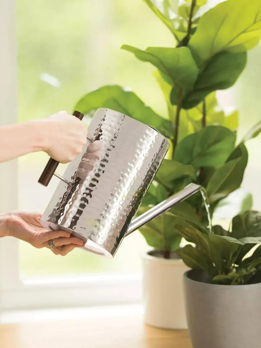 Gardener's Supply Company Stainless Steel Watering Can