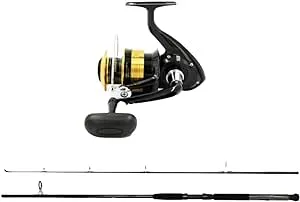 Daiwa D-Wave 2-Piece Spin Combo 8' Medium