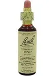 Bach Original Flower Remedies Larch - 20 ml