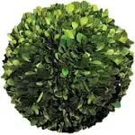 Preserved Boxwood Ball, 6" Boxwood Ball, Green/Red, Artificial Plants, by Serene Spaces Living