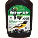 Songbird Essentials Birdberry Jelly 20 oz