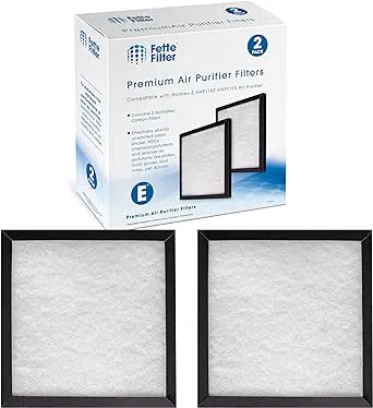 Fette Filter - Activated Carbon Replacement Filter Compatible with Holmes E HAP116Z HAPF115 Air Purifier Device - Pack of 4