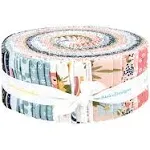 Day In The Life 2.5" Strip Roll (Jelly Roll / Rolie Polie) by Echo Park Paper Co. for Riley Blake (rp-13660-40)