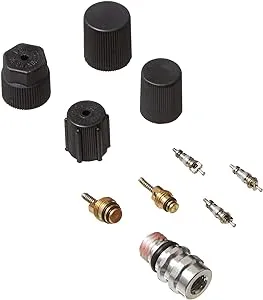 Four Seasons® 26782 - A/C System Valve Core and Cap Kit