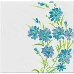 Nicole Home Collection 40 Count Everyday Paper Lunch Napkins, Blue Floral