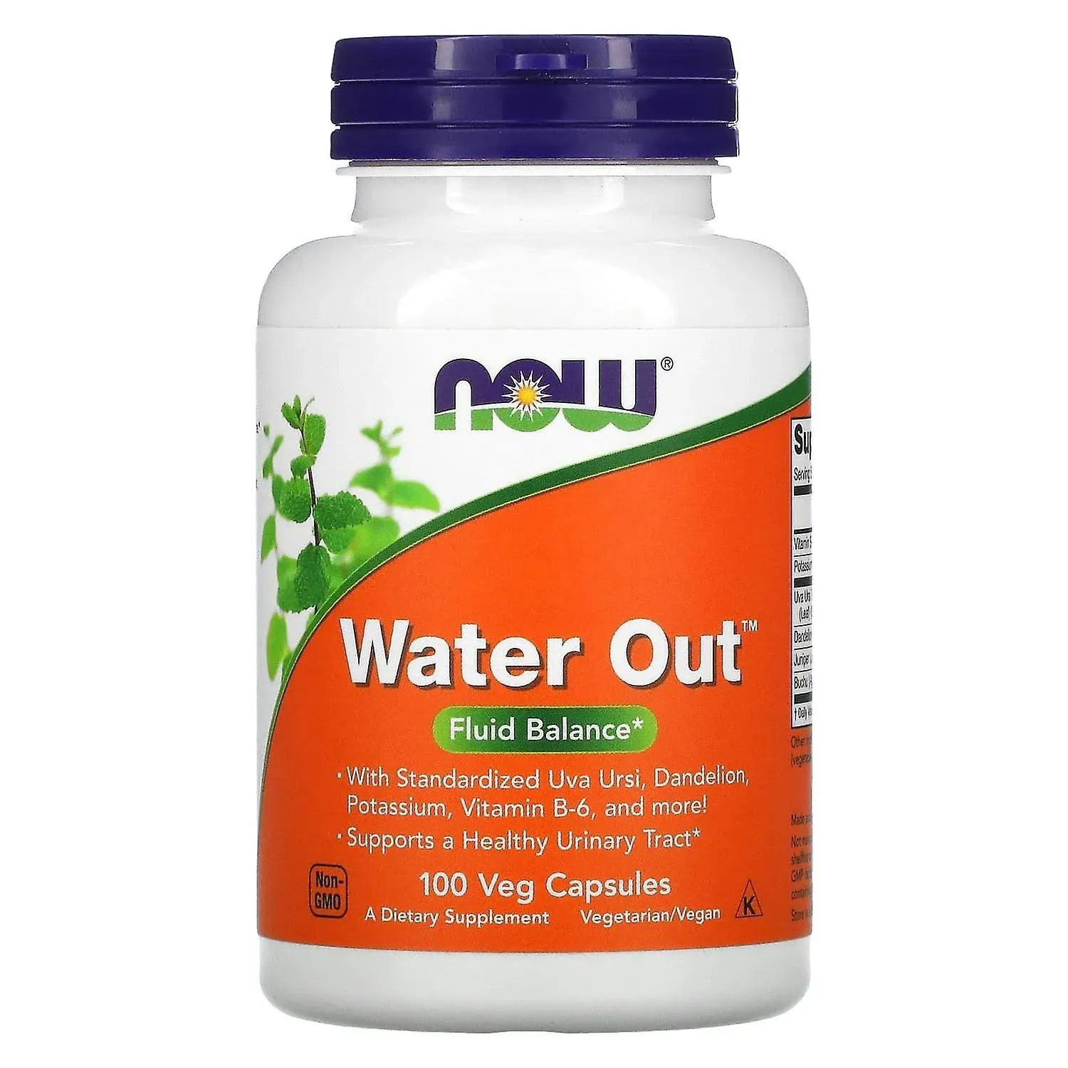 WATER OUT - WATER PILL 100 capsules