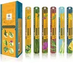 120 Stick of Chakra Aromatherapy Natural Incense Sticks 20 Sticks Per Box Pack of 6 Bergamote Eucalyptus Geranium Lemon Grass YlangYlang Relaxing,Meditation,Refreshing & Energizing Incense Gift Pack