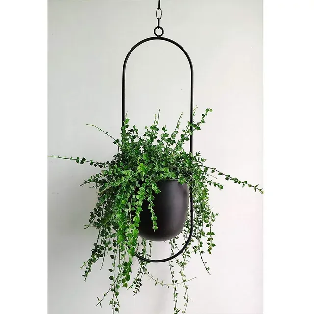 Hanging Planter for Indoor Plants Metal Mid Century Minimalist Wall and Ceiling ...