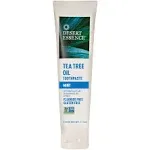 Desert Essence Toothpaste, Mint, Tea Tree Oil - 6.25 oz