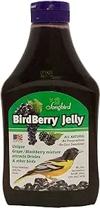 Songbird Essentials Bird Berry Jelly 20 Oz