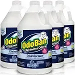 Odoban Disinfectant Concentrate and Odor Eliminator, 4 Gallons, Night Ice Scent