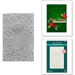 Spellbinders Holiday Floral Swag 3D Embossing Folder