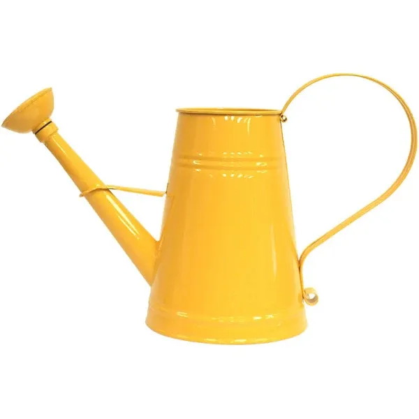 HIT 1 gal Enameled Galvanized Steel Watering Can with Removable Rosette